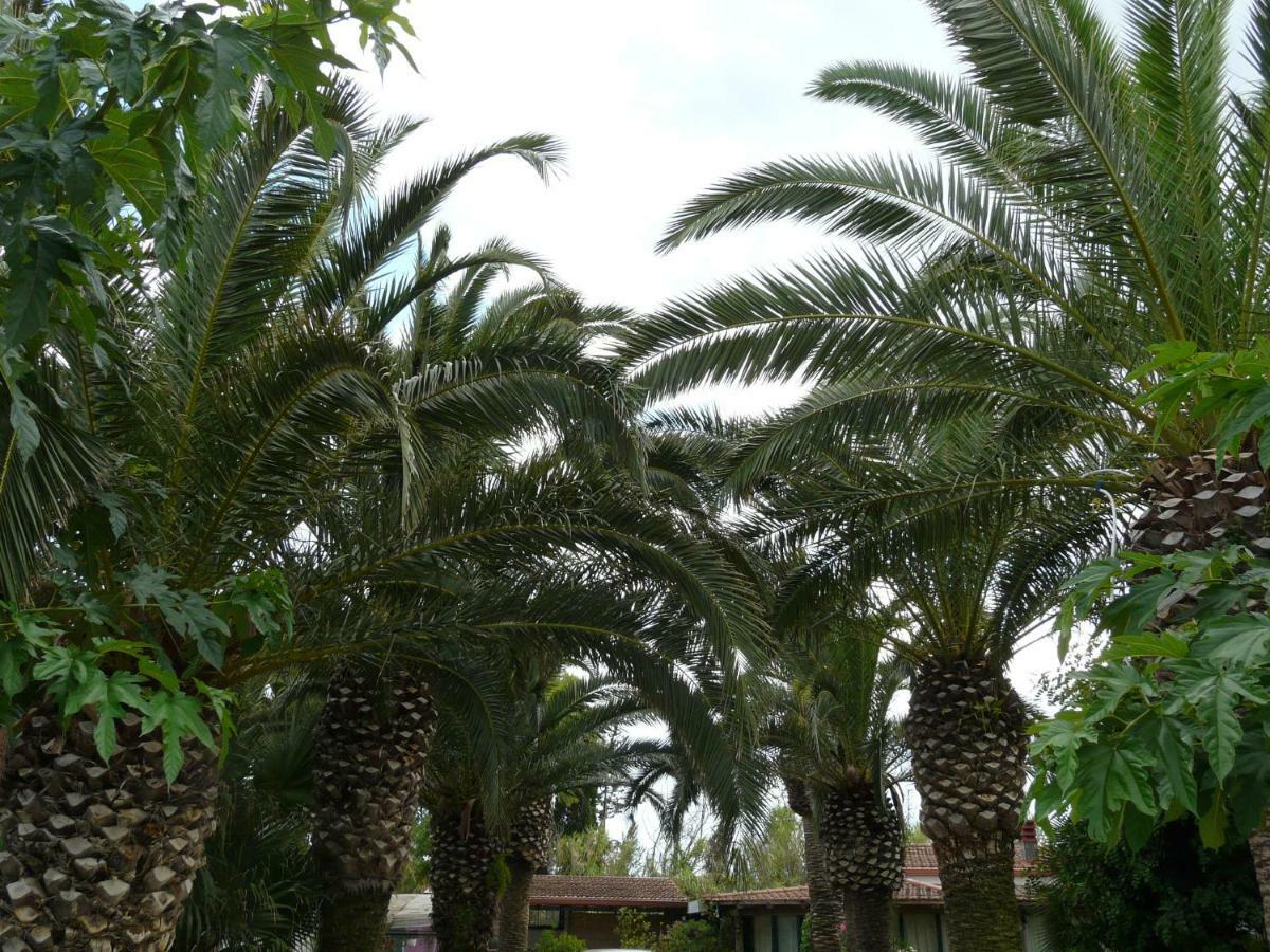 Villa Yucca Avola Eksteriør bilde