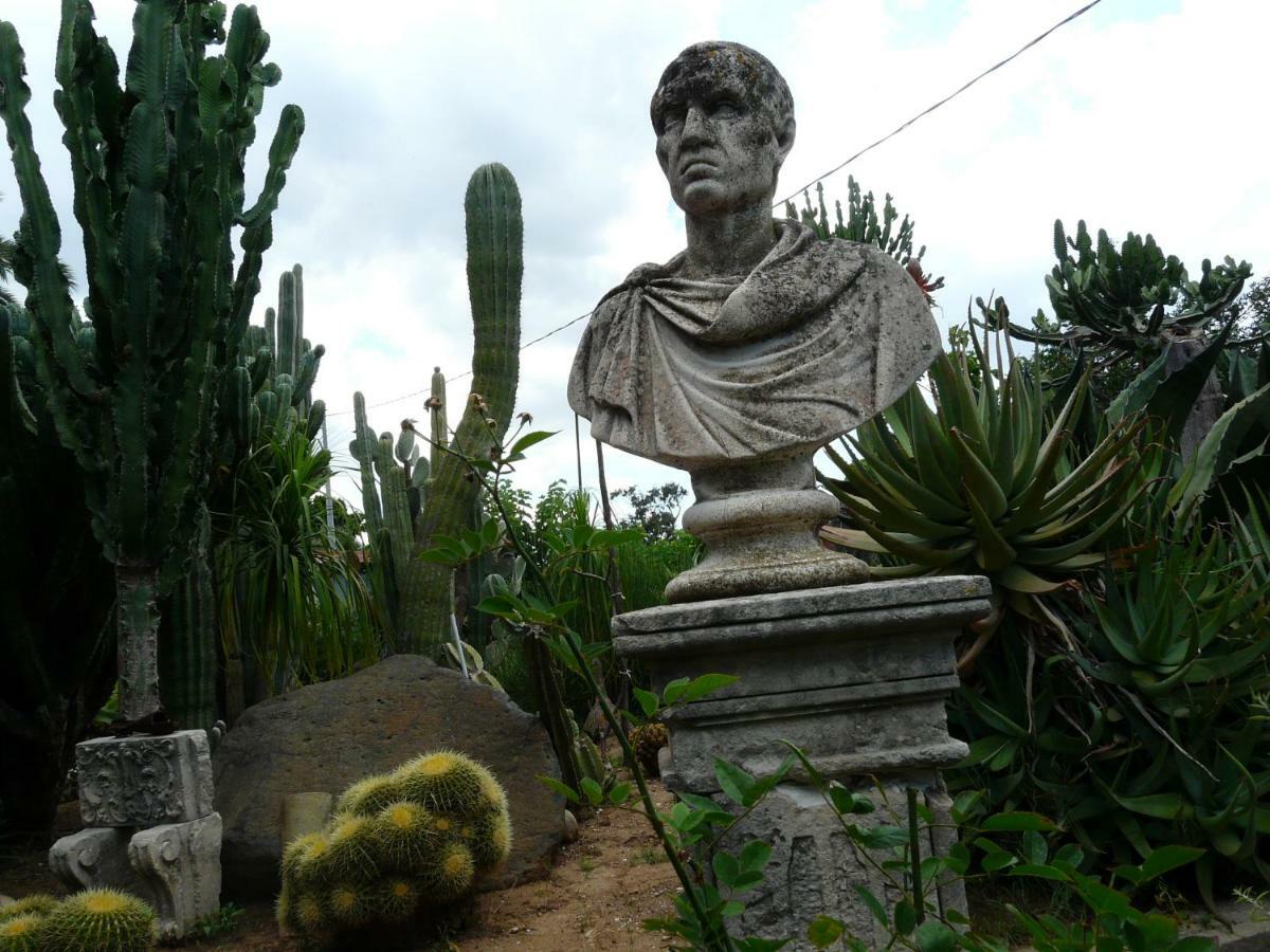 Villa Yucca Avola Eksteriør bilde